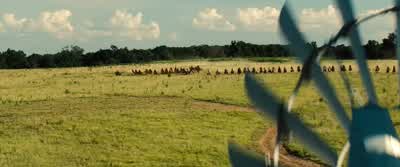 Shoot whoever you see! - The Magnificent Seven