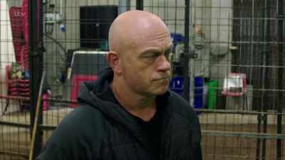Shooting, poaching.
If we don't keep these animals safe, - Britain's Tiger Kings - On the Trail with Ross Kemp