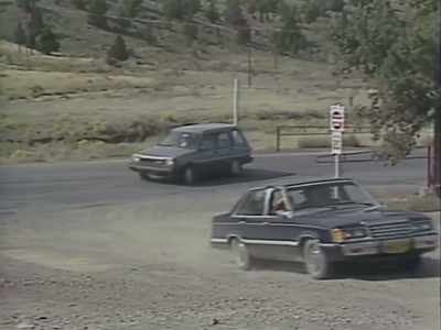 Shortly after 2:00 p.m.,
police made their move. - Wild Wild Country