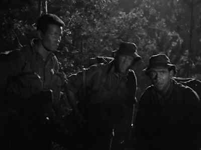 Should be easy going up to the top now, sir. - A Hill in Korea