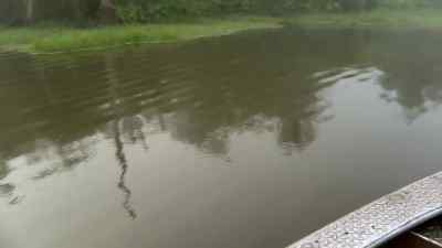 Should be right here. - Swamp People