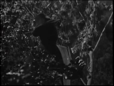 Miss Van Gorder - The Bat