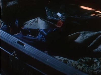 Should have bought American Phil - Stepfather II: Make Room for Daddy