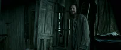 Should have realized if Voldemort didn't kill you, we would. - Harry Potter and the Prisoner of Azkaban