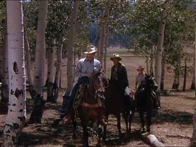 Should pick up a track
around here someplace. - My Friend Flicka