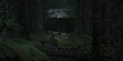 - Should we have a look? - The Ritual