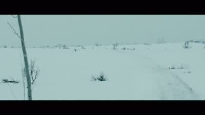 Shouldn't we just maybe wait for some backupWell this isn't the land of backup JaneThis is a land of you're on your own - Wind River