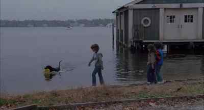 (SHOUTING) - The Amityville Horror