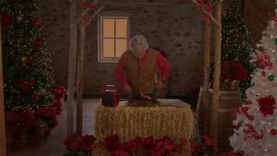 [shouts]
all right, here we go. - Mistletoe in Montana