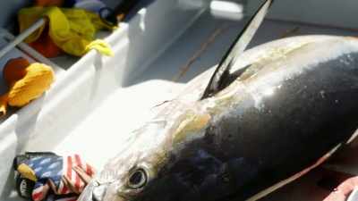 [shouts] - Deadliest Catch: Bloodline