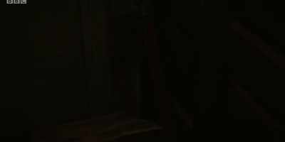 SHOVE ON DOOR - The Serpent