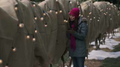 Show Henry, you know, - An Ice Wine Christmas