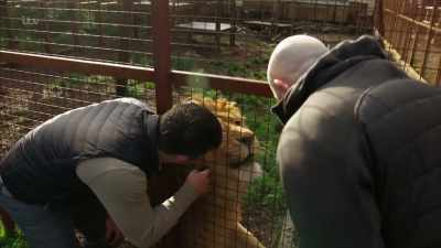 Show jumper and pub owner, - Britain's Tiger Kings - On the Trail with Ross Kemp