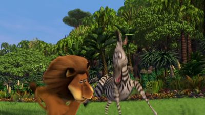 Show them the cat Who's the cat - Madagascar