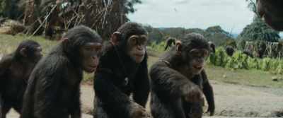 Show us, Anaya, please? - Kingdom of the Planet of the Apes