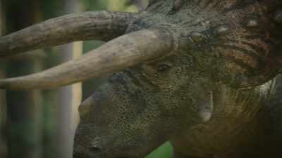 Showing off
his spectacular meter-long horns... - Prehistoric Planet