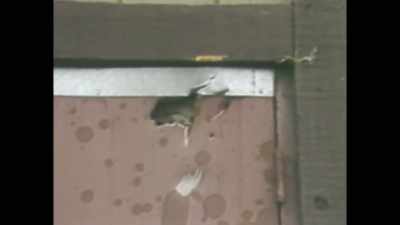 Shrapnel was strewn 150 yards
into a back parking lot. - Unabomber: In His Own Words