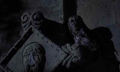 [ Shriek ] - Candleshoe