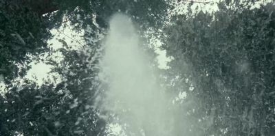 (shrieking) - Jurassic World: Dominion