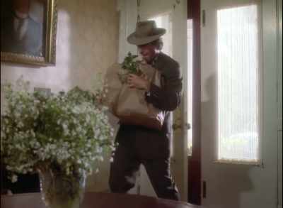 [shrieking] - Quantum Leap