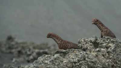 [shrieks] - Prehistoric Planet