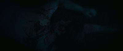 [shrill music playing] - Wolf Garden