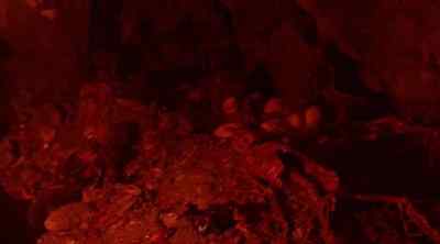 (SHUDDERING) - Tremors 5: Bloodlines