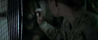 (SHUSHES) - Megan Leavey