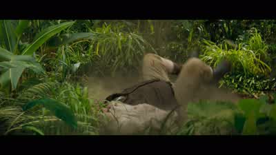 Shut the front door. - Jumanji: The Next Level