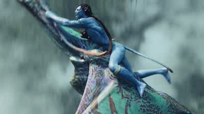 Shut up and fly straight - Avatar