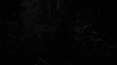 Shut up! - The Killing