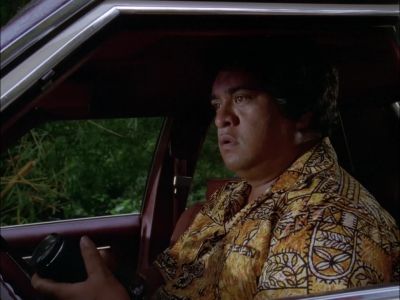 [ SHUTTER CLICKS ] - Hawaii Five-O