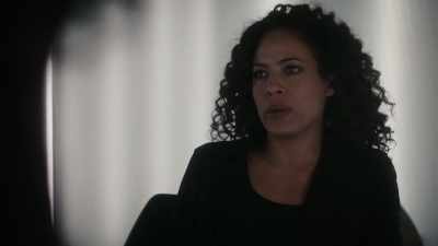 Shutting down
meat processing plants - The Blacklist: Redemption