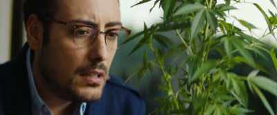 Sì, ragazzi... Non c'è dubbio.
Questa è proprio marijuana. - Falla girare
