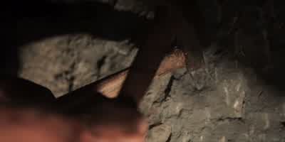 Sic mundus creatus est! - Dark