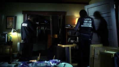SIDLE: Styron, Plath, Sexton. - CSI: Crime Scene Investigation