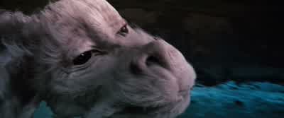 Sie flogen und flogen. - The NeverEnding Story