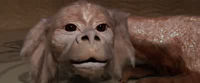 Siehst du was? - The NeverEnding Story