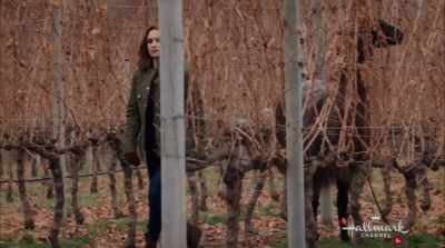 [sighing] - Valentine in the Vineyard