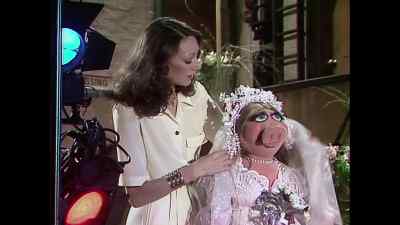 [SIGHING] - The Muppet Show