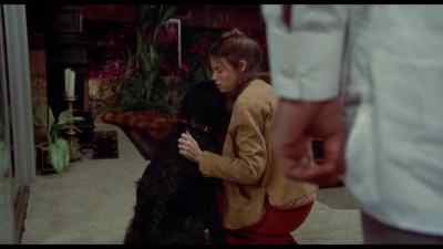 (SIGHING)
You keep the dog. - Breezy