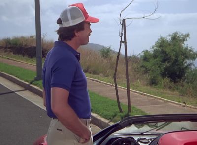 (Sighs) - Magnum, P.I.
