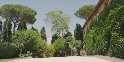 [sighs] - Signora Volpe