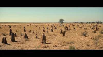 (SIGHS) - Population 11