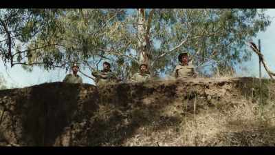 (sighs) - The Emu War