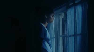 [SIGHS] - The Curious Case of Dolphin Bay