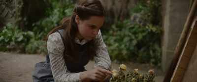 [sighs] - Theodosia