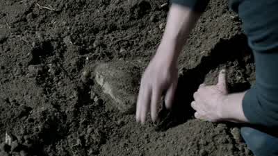 It's just a rock. - Blindspot