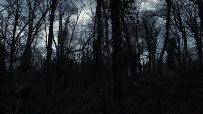 [ Sighs ] - The Blacklist