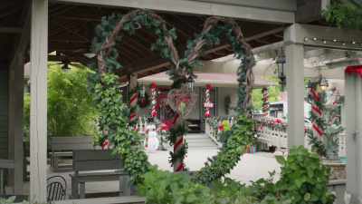 [sighs] - A Taste of Christmas